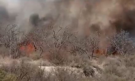 Se registran incendios simultáneos ocasionan en Parras