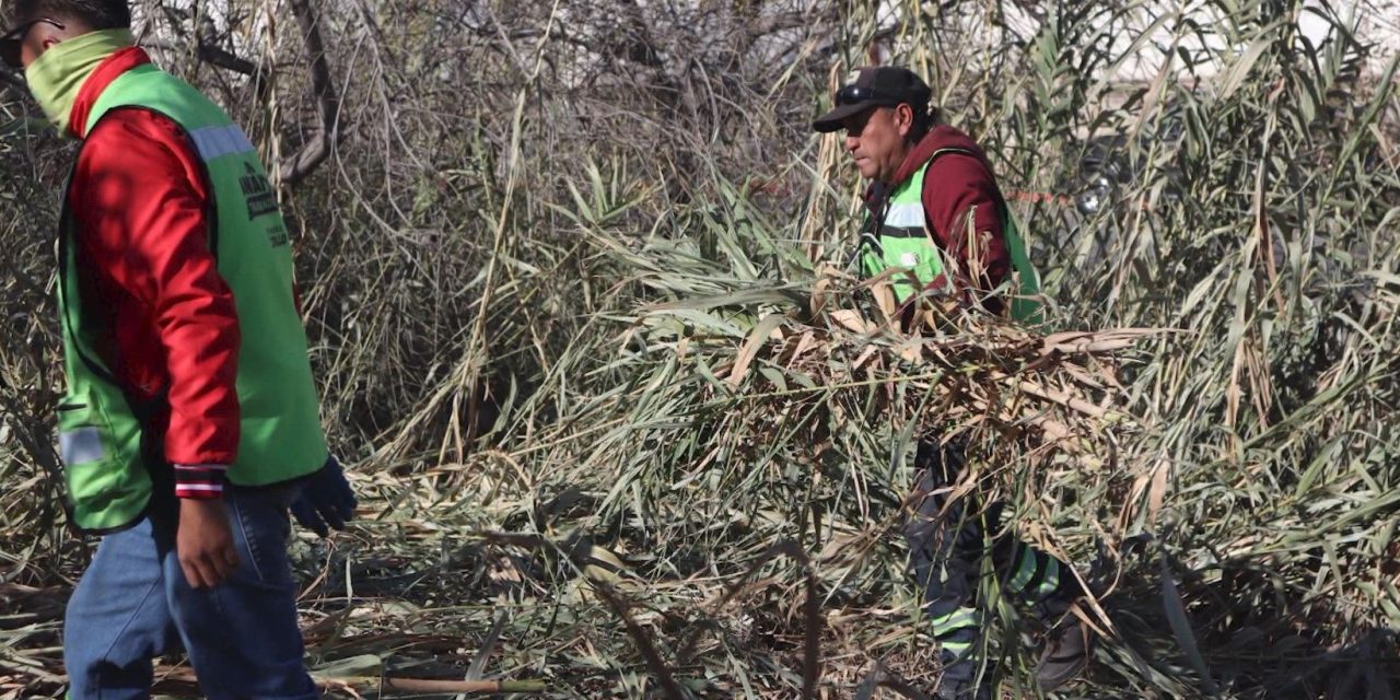 Las brigadas ‘Aquí Andamos’ mejoran espacios públicos en Saltillo