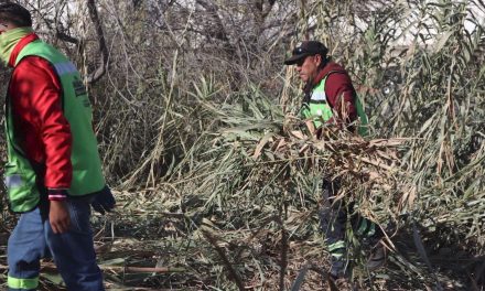 Las brigadas ‘Aquí Andamos’ mejoran espacios públicos en Saltillo