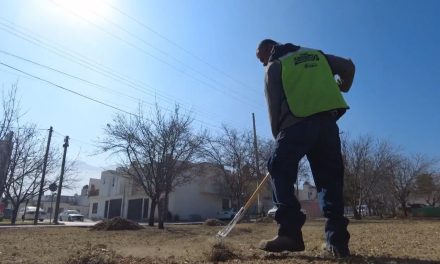 Las cuadrillas ‘Aquí andamos’ continúan trabajando por Saltillo