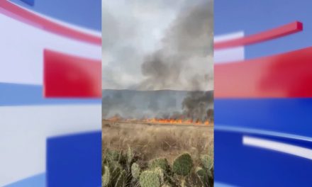 Liquidado primer incendio de la temporada en Arteaga