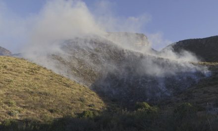 Listos para la temporada de incendios en Arteaga