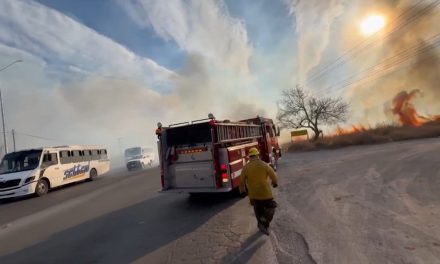 Mayor prevención de incendios en recicladoras