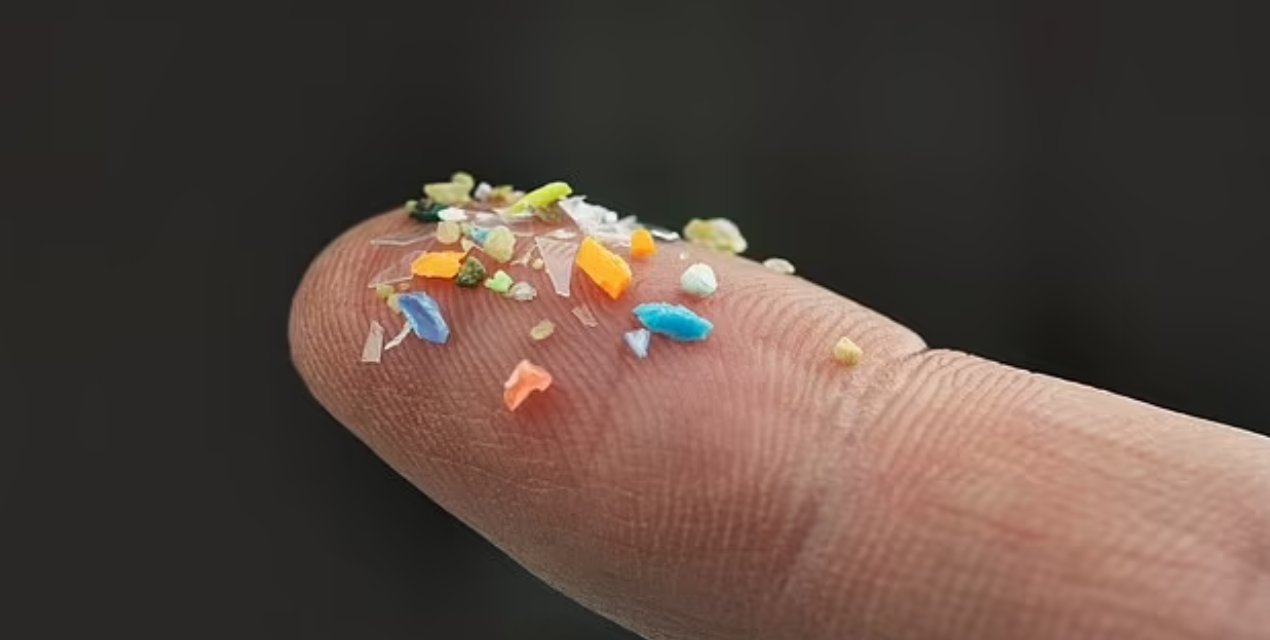 Científicos alertan sobre la presencia de microplásticos en la nieve de la Antártida