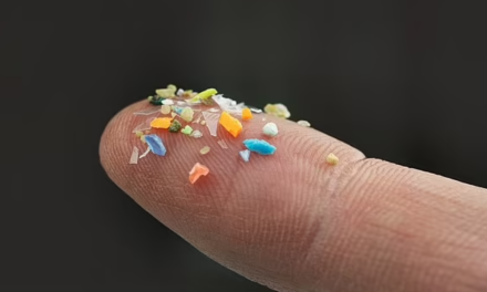 Científicos alertan sobre la presencia de microplásticos en la nieve de la Antártida