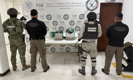 Operación Frontera deja 339 detenidos y media tonelada de droga decomisada