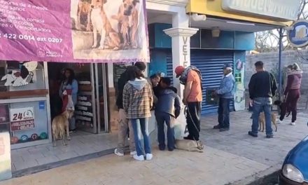 Parras tendrá esterilización de mascotas