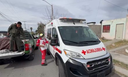 Perro ataca a una mujer y la manda al hospital en Saltillo