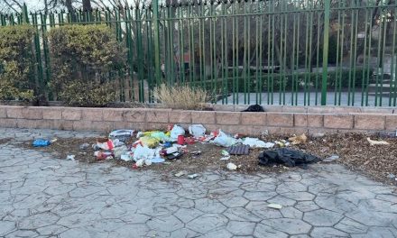 Piden a las autoridades limpieza al exterior del parque Chapulín
