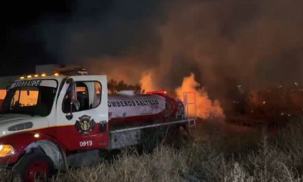 Piden ambientalistas al gobernador poner en orden a fraccionadores campestres