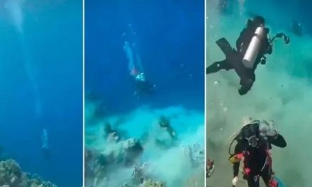 Video: Así vivieron unos buzos el impactante momento del terremoto en el Mar Caribe bajo el agua