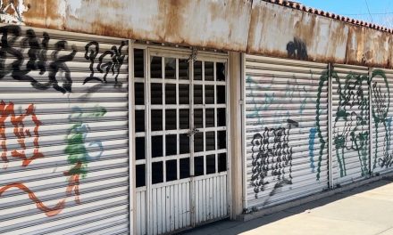 Saltillo: Todo un nido de maleantes el Mercado Francisco I. Madero