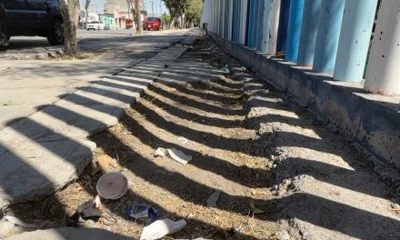 Urge reparación de banquetas en el perímetro del parque Curbelo