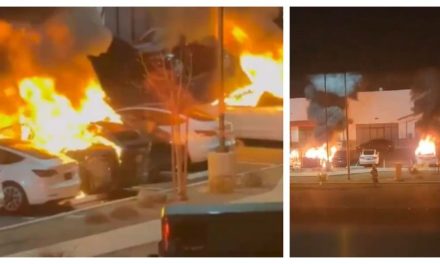 Incendian varios vehículos Tesla en Las Vegas: investigación en curso (Video)