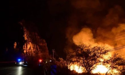 Apuntan autoridades a carne asada como origen de incendio en Nadadores