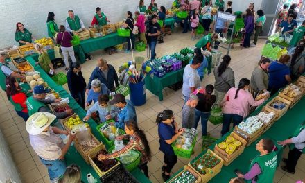 Mercadito Mejora recorre Piedras Negras llevando productos de la canasta básica a precios bajos