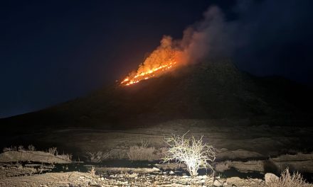 Se incendia cerro entre Saltillo y Ramos Arizpe