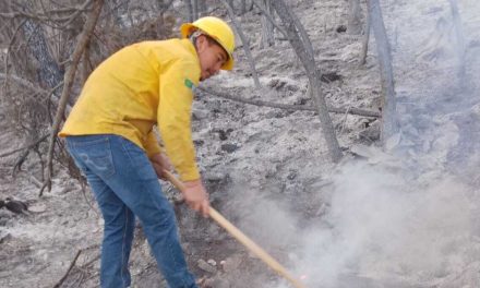 Controlan por completo el incendio en El Tunal
