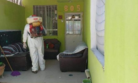 Dan inicio a trabajos de fumigación en Torreón