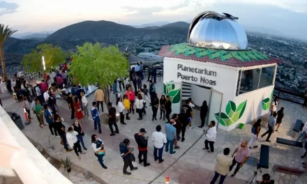 Realizarán festival con causa en el Puerto Noas