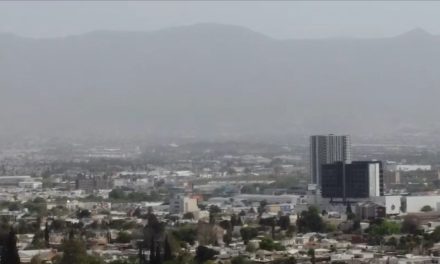 Todavía no incrementan consultas por alergias a causa de la contaminación