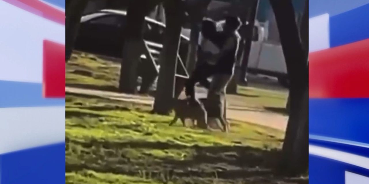 Buscan a mujer violentada en Ramos Arizpe
