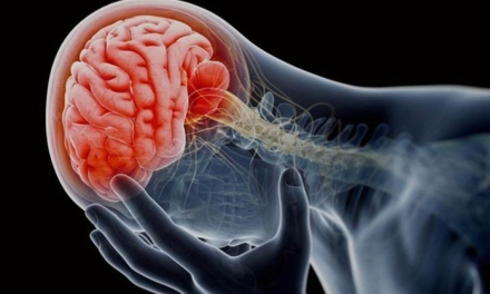 Derrames cerebrales e infartos causan la mitad de las muertes en el trabajo