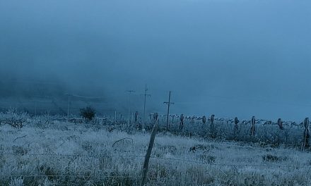 ¡Regresa el frío a Saltillo! En las próximas horas habrá un descenso de la temperatura