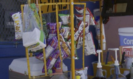 Queda prohibida la venta de comida chatarra en escuelas