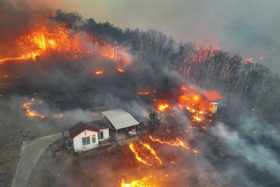 Incendios forestales en Corea del Sur dejan 24 muertos y 27 mil evacuados