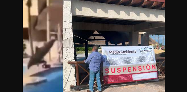 Suspenden actividades en delfinario de hotel en Riviera Maya