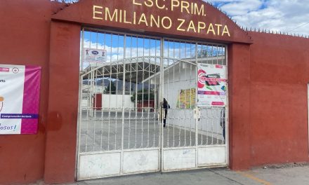 Piden que Ecología retire árboles secos en primaria de Saltillo