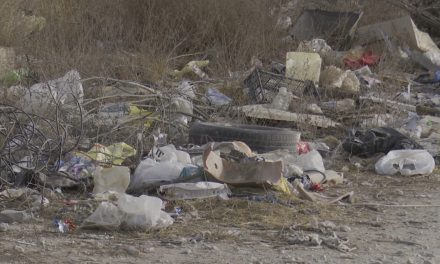 La limpieza de terrenos baldíos es un trabajo que no termina en Ramos Arizpe
