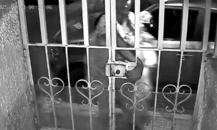 ‘¿Eres un fantasma?…¿Dónde estás?’; ladrona intenta robar una casa y huye tras confundir la voz del dueño