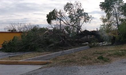 Fuertes vientos en Parras ocasionan daños materiales y cortes de energía