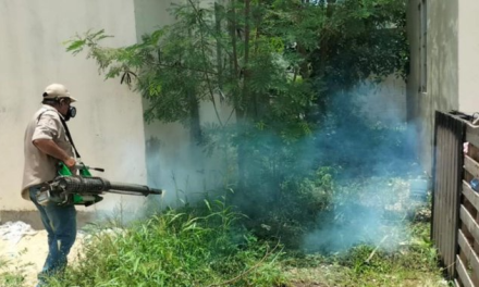 Adelantarán la fumigación en sectores de Saltillo donde hubo más dengue