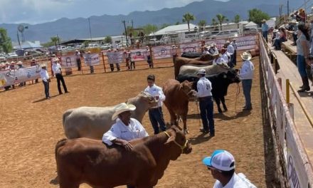 Avanzan negociaciones para exportación de ganado coahuilense a Estados Unidos