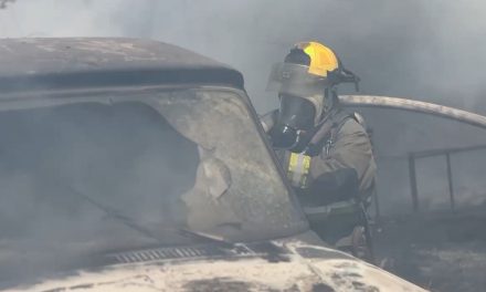 Incendio consume predio baldío y vehículo en la colonia Virreyes