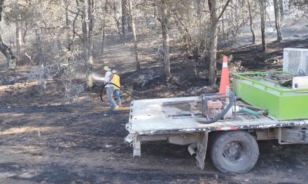 Incendio en Arteaga moviliza a cuerpos de emergencia