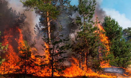 Se suma el municipio de Saltillo al operativo de prevención de incendios
