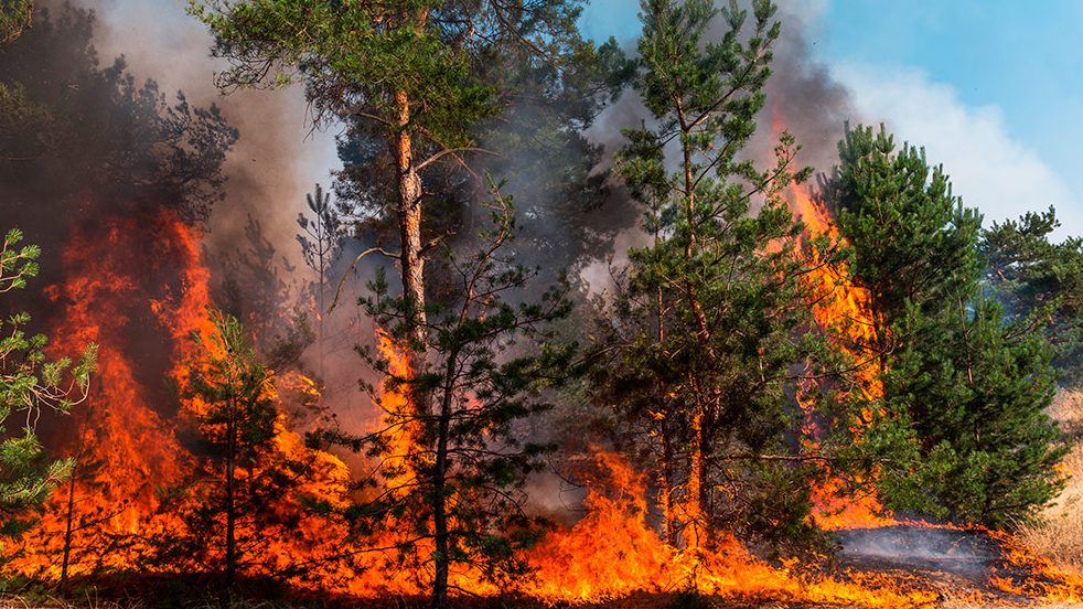 Se suma el municipio de Saltillo al operativo de prevención de incendios