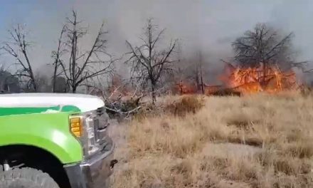 Combate Arteaga incendios en la Sierra