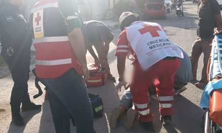 Menor es arrollado tras ser perseguido por unos perros en Parras