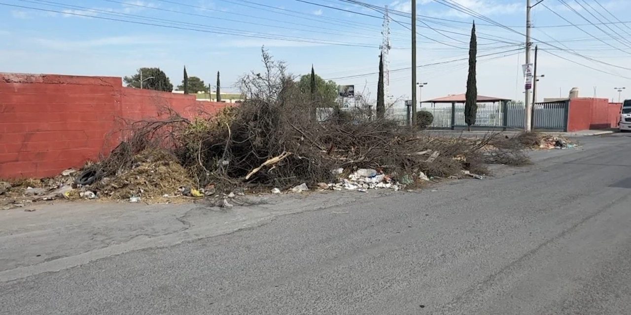 Limpian, pero no se llevan la basura en el sector Colinas del Sur