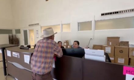 Inicia operaciones el Mega Módulo de plaqueo