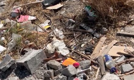 Montones de basura y animales muertos son tirados en colonia de Ramos Arizpe