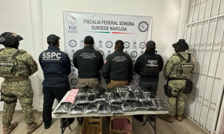 Aseguran en Sonora 32 kilos de fentanilo ocultos en un tráiler con nopales