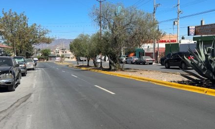 Piden vecinos topes en bulevar Hidalgo