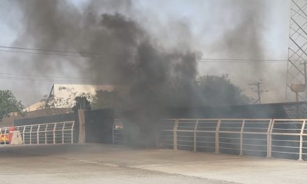 Prende terreno baldío en Saltillo