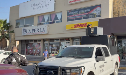 En Saltillo, Marina y FGE catean paquetería en bulevar fundadores